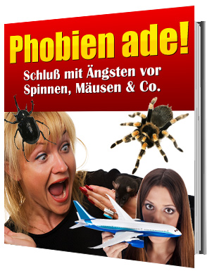Phobien ade! eBook